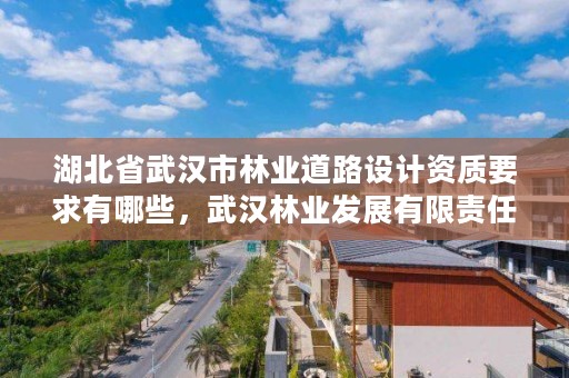 湖北省武汉市林业道路设计资质要求有哪些，武汉林业发展有限责任公司