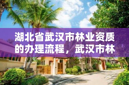 湖北省武汉市林业资质的办理流程，武汉市林业工作站位置