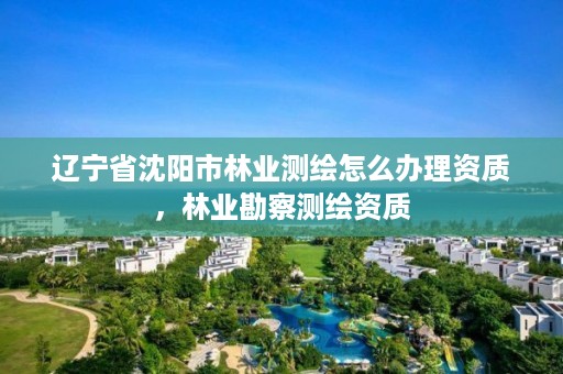 辽宁省沈阳市林业测绘怎么办理资质,林业勘察测绘资质