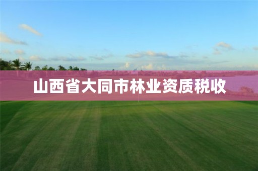 山西省大同市林业资质税收