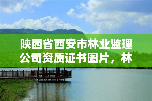 陕西省西安市林业监理公司资质证书图片,林业工程监理资质证书