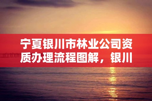 宁夏银川市林业公司资质办理流程图解,银川林业局电话号码