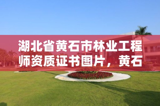 湖北省黄石市林业工程师资质证书图片，黄石市林业局领导班子