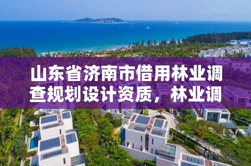 山东省济南市借用林业调查规划设计资质,林业调查规划设计甲级资质