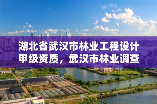 湖北省武汉市林业工程设计甲级资质，武汉市林业调查规划设计院招聘