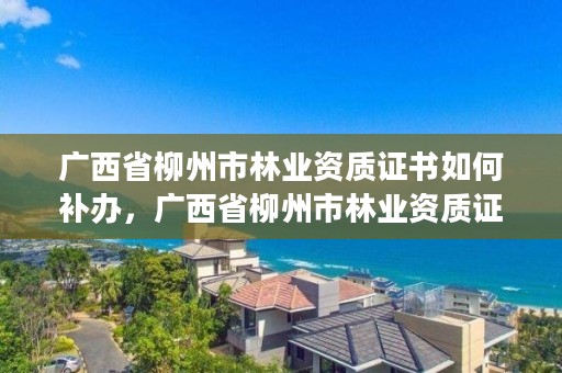 广西省柳州市林业资质证书如何补办，广西省柳州市林业资质证书如何补办的