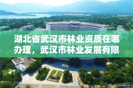 湖北省武汉市林业资质在哪办理，武汉市林业发展有限责任公司