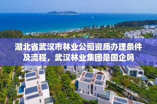 湖北省武汉市林业公司资质办理条件及流程，武汉林业集团是国企吗
