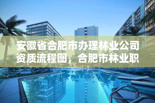 安徽省合肥市办理林业公司资质流程图,合肥市林业职业技术学院