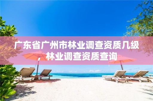 广东省广州市林业调查资质几级,林业调查资质查询
