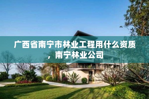 广西省南宁市林业工程用什么资质,南宁林业公司