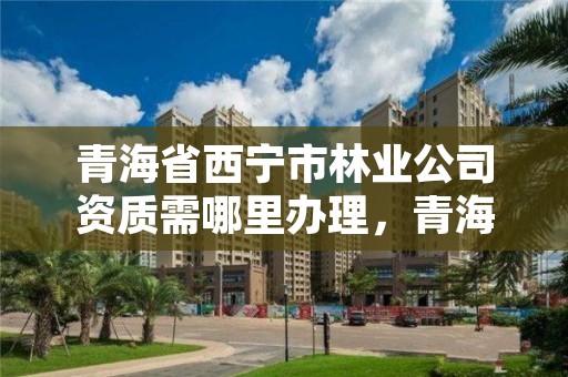 青海省西宁市林业公司资质需哪里办理,青海省西宁市林业公司资质需哪里办理的