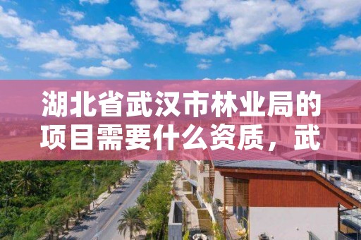 湖北省武汉市林业局的项目需要什么资质，武汉市林业局待遇