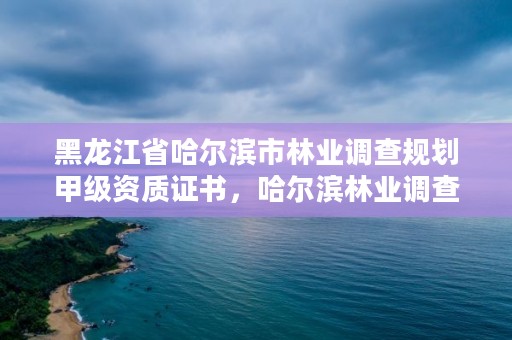 黑龙江省哈尔滨市林业调查规划甲级资质证书,哈尔滨林业调查规划有限公司