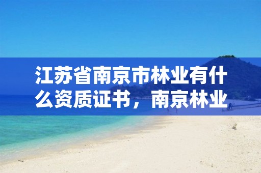江苏省南京市林业有什么资质证书,南京林业站待遇