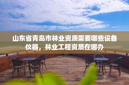 山东省青岛市林业资质需要哪些设备仪器,林业工程资质在哪办