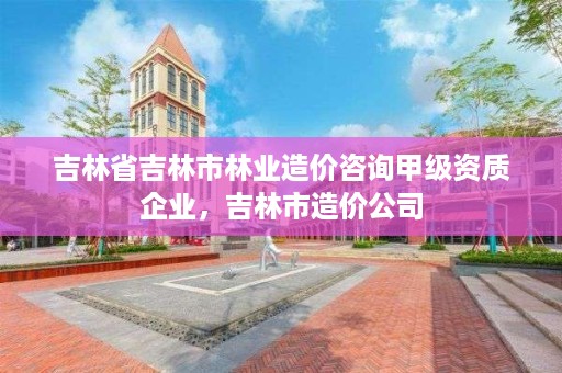 吉林省吉林市林业造价咨询甲级资质企业,吉林市造价公司