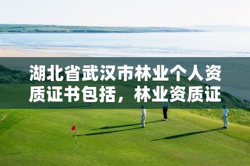 湖北省武汉市林业个人资质证书包括,林业资质证书怎么办理?