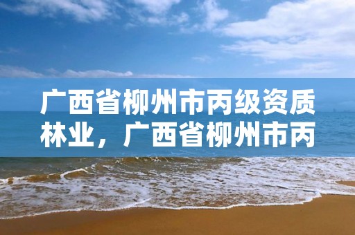 广西省柳州市丙级资质林业,广西省柳州市丙级资质林业企业名单