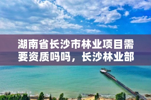湖南省长沙市林业项目需要资质吗吗,长沙林业部门