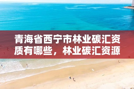 青海省西宁市林业碳汇资质有哪些，林业碳汇资源项目开发的公司