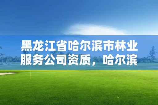 黑龙江省哈尔滨市林业服务公司资质,哈尔滨林业部门电话