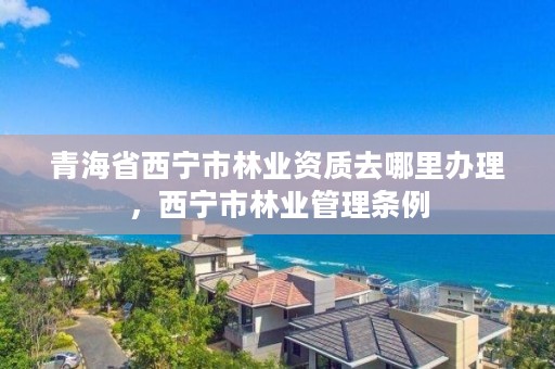 青海省西宁市林业资质去哪里办理，西宁市林业管理条例