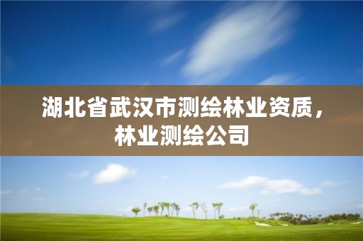 湖北省武汉市测绘林业资质，林业测绘公司