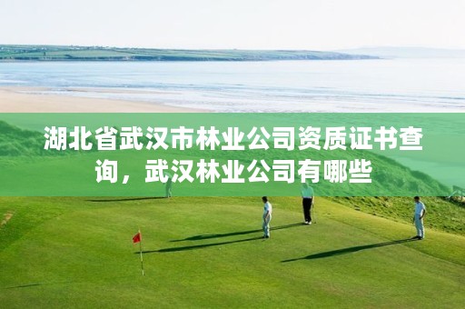 湖北省武汉市林业公司资质证书查询，武汉林业公司有哪些