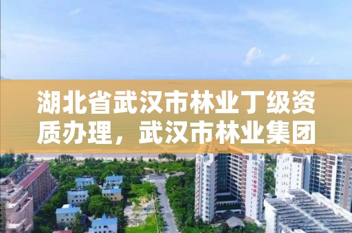湖北省武汉市林业丁级资质办理，武汉市林业集团有限公司