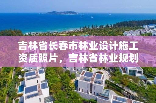 吉林省长春市林业设计施工资质照片,吉林省林业规划设计院
