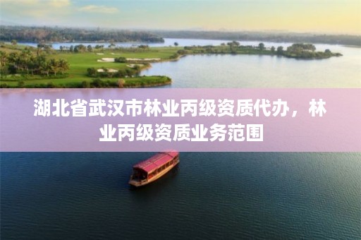 湖北省武汉市林业丙级资质代办，林业丙级资质业务范围