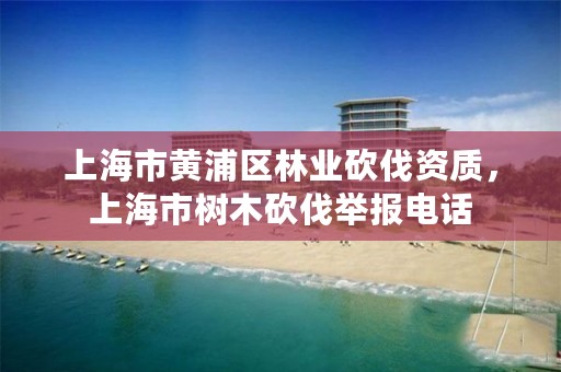 上海市黄浦区林业砍伐资质,上海市树木砍伐举报电话