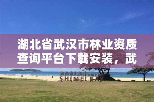 湖北省武汉市林业资质查询平台下载安装，武汉市林业集团有限公司