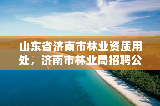 山东省济南市林业资质用处，济南市林业局招聘公告