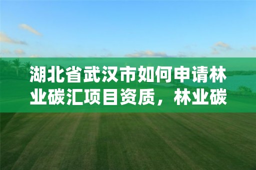 湖北省武汉市如何申请林业碳汇项目资质，林业碳汇项目pdd