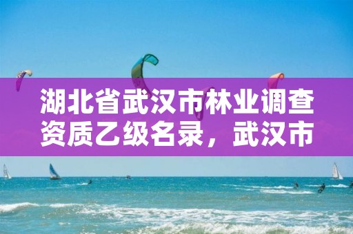 湖北省武汉市林业调查资质乙级名录，武汉市林业调查规划设计院怎么样