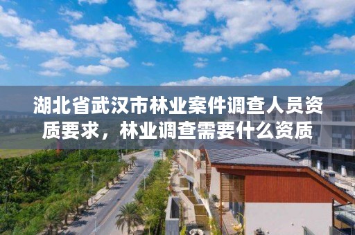 湖北省武汉市林业案件调查人员资质要求，林业调查需要什么资质