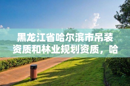 黑龙江省哈尔滨市吊装资质和林业规划资质,哈尔滨吊车操作证办理