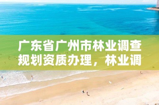 广东省广州市林业调查规划资质办理，林业调查设计规划资质管理规定告