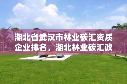 湖北省武汉市林业碳汇资质企业排名,湖北林业碳汇政策