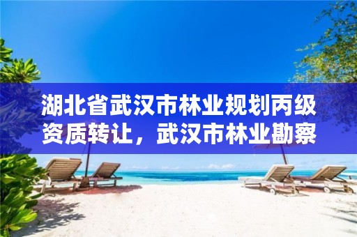 湖北省武汉市林业规划丙级资质转让，武汉市林业勘察设计院