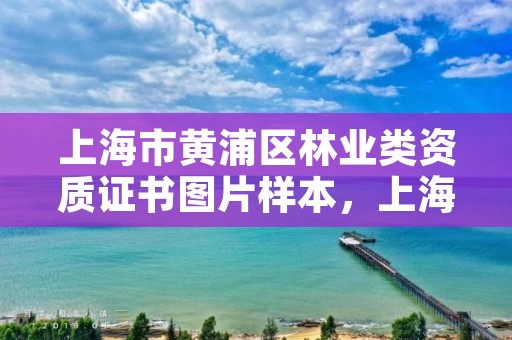 上海市黄浦区林业类资质证书图片样本,上海林业有限公司