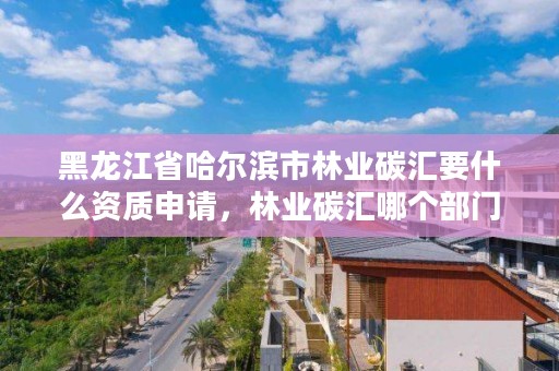 黑龙江省哈尔滨市林业碳汇要什么资质申请,林业碳汇哪个部门审批