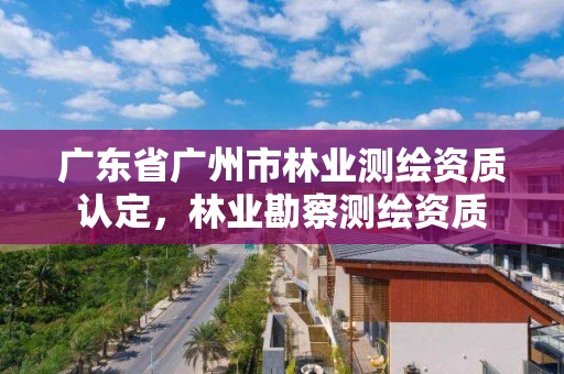 广东省广州市林业测绘资质认定,林业勘察测绘资质