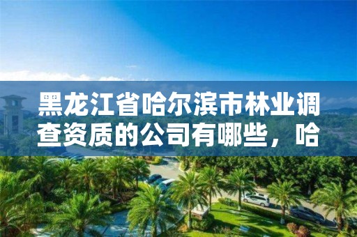 黑龙江省哈尔滨市林业调查资质的公司有哪些,哈尔滨林业厅官网