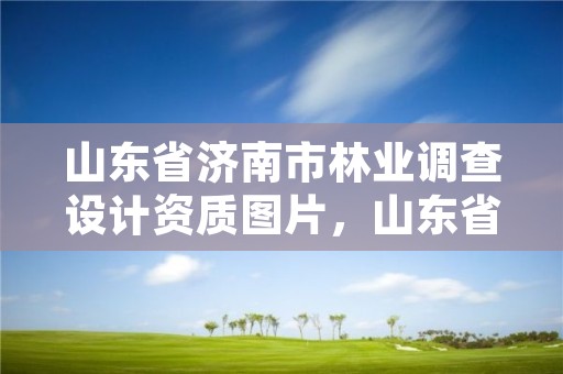 山东省济南市林业调查设计资质图片,山东省济南市林业局