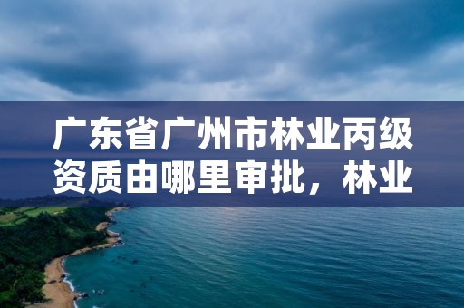 广东省广州市林业丙级资质由哪里审批,林业丙级资质业务范围