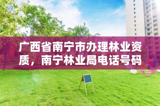 广西省南宁市办理林业资质,南宁林业局电话号码是多少