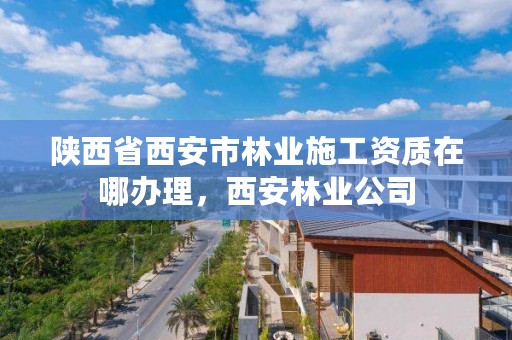 陕西省西安市林业施工资质在哪办理,西安林业公司